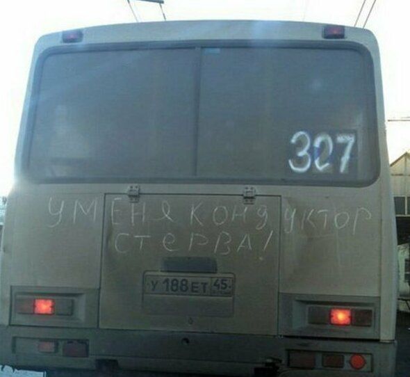 Мужчины стерв сдают с потрохами О стервах начистоту
(12 фото)