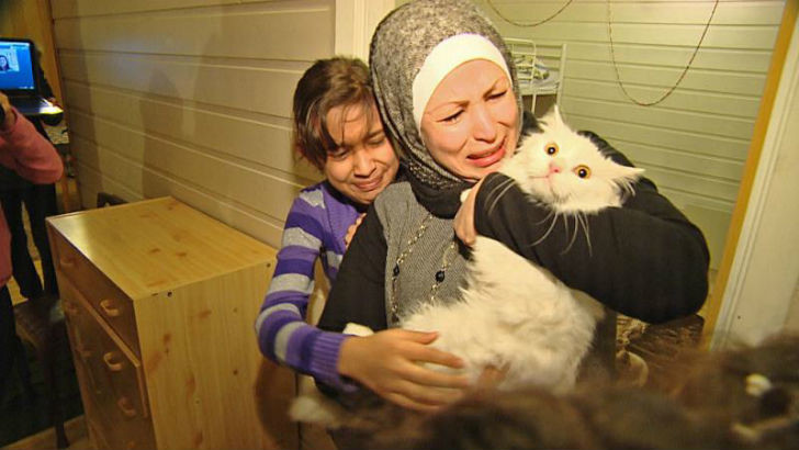 Кот, который преодолел полмира, чтобы вернуться в семью Кот, который преодолел полмира, чтобы вернуться в семью