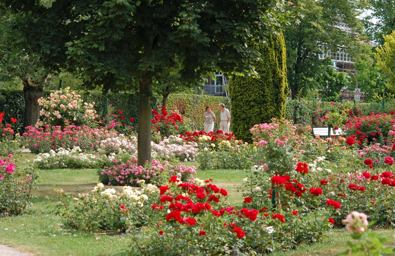 ПАРК РОЗ В ГЕРМАНИИ/ 'ROSARIUM UETERSEN'