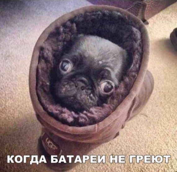 Веселые картинки)) Веселые картинки))