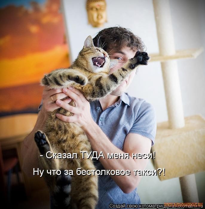 Котоматрицы великолепные, каждая с кусочком позитива и хорошего настроения!!! Котоматрицы великолепные, каждая с кусочком позитива и хорошего настроения!!!