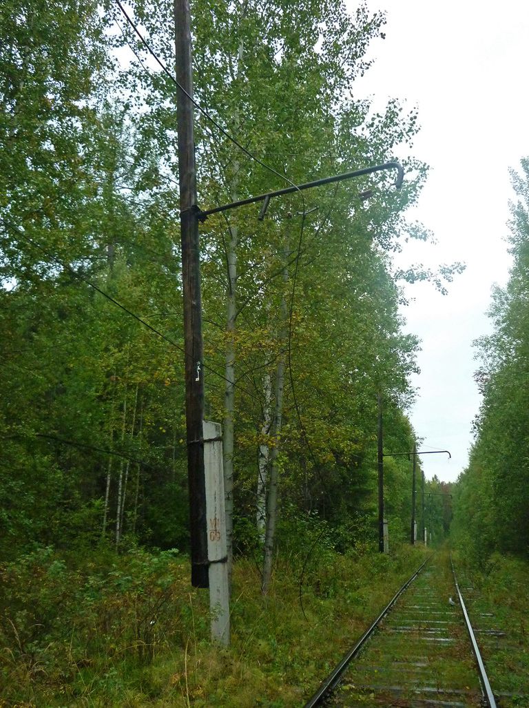 трамвай, Россия, Волчанск