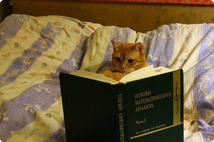 Давайте улыбаться вместе!