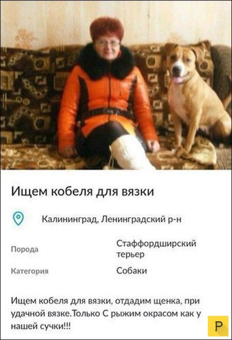 Смешные комментарии к фото из соцсетей Смешные комментарии к фото из соцсетей комментарии, переписка, прикол, соц сети