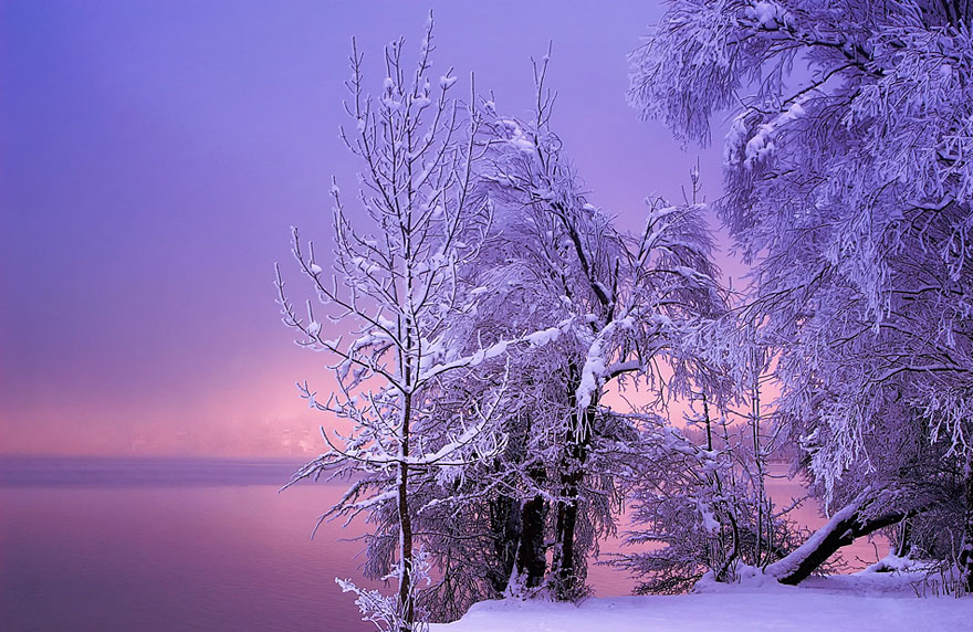 Gorgeous Winter Landscapes 6   