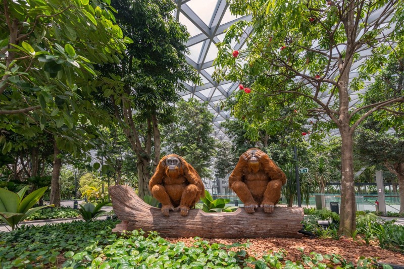 Jewel Changi Airport - потрясающий новый комплекс аэропорта в Сингапуре