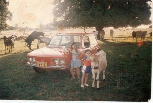 Что здесь происходит?! (26 фото) Что здесь происходит?! (26 фото)