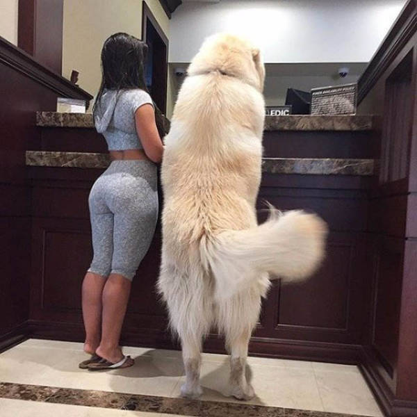 Yoga Pants Are a Real Turn-On (51 pics) Yoga Pants Are a Real Turn-On (51 pics)
