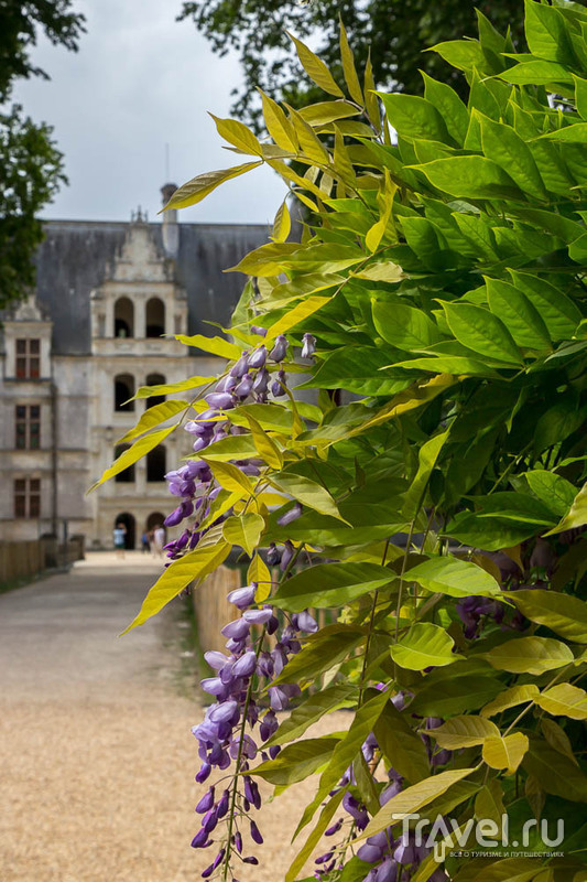Замок Азе-лё-Ридо (Château d'Azay-le-Rideau)