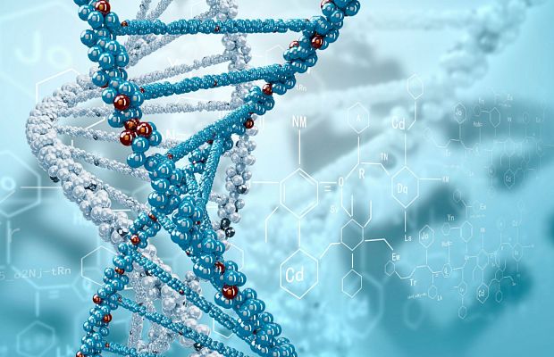 "DNA(ДНК)" - что же на самом деле это такое? "DNA(ДНК)" - что же на самом деле это такое?