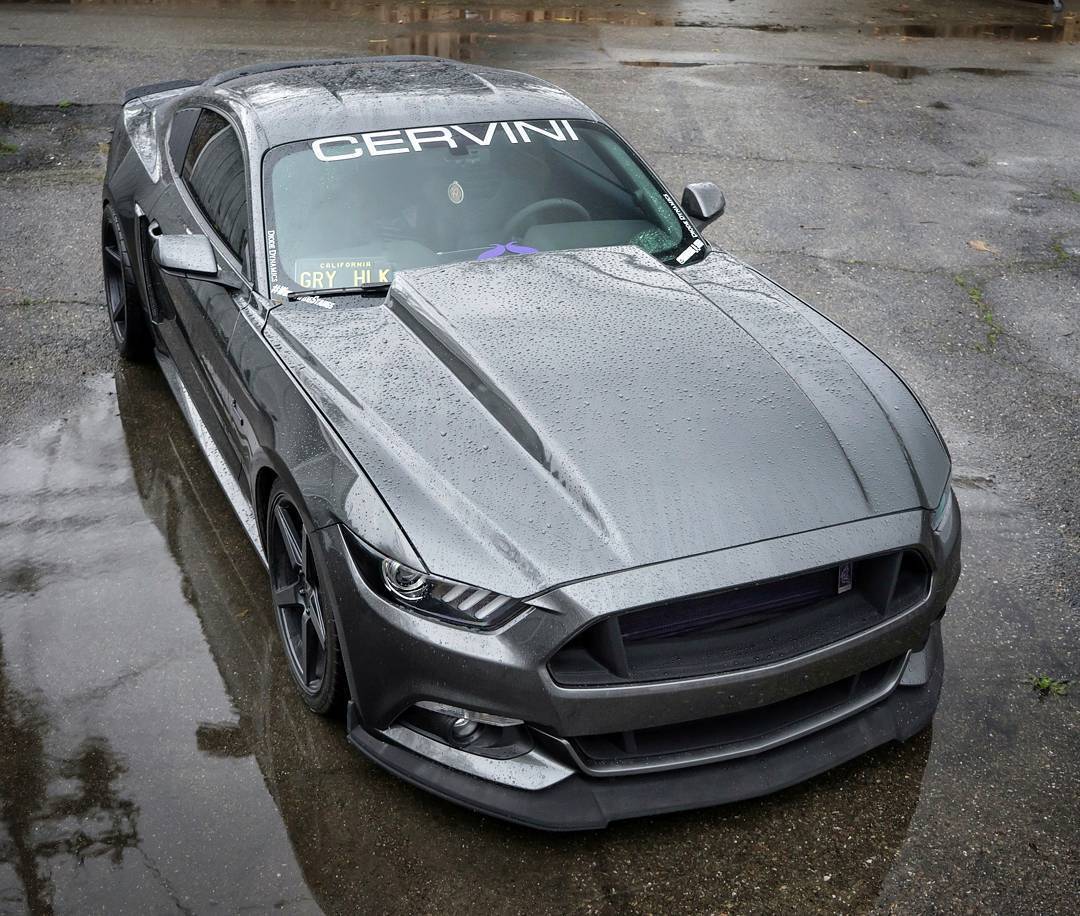 Mustang GRY HLK (Grey Hulk - Серый Халк)