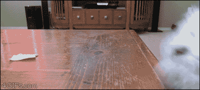 original.gif