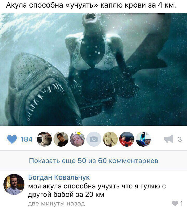 Прикольные картинки с надписями для поднятия настроения (11 фото) Прикольные картинки с надписями для поднятия настроения (11 фото)