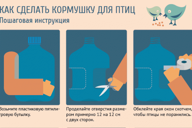 Инструкция о том как сделать кормушку
