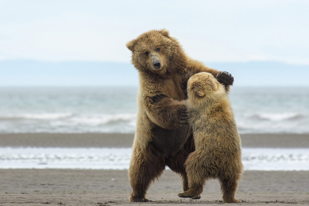 Лучшее с конкурса фотографии&hellip;