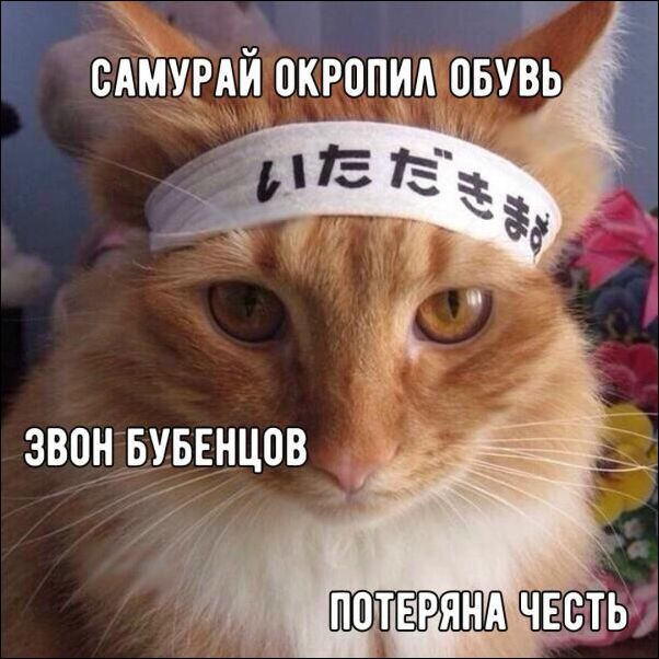 ÐаÑÑинки по запÑоÑÑ ÑоÑо пÑиколÑ