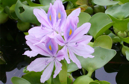 Картинка 151 из 235