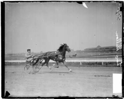 C.K.G Billings is photographed here with one of his most famous racehorses, Lou Dillon.