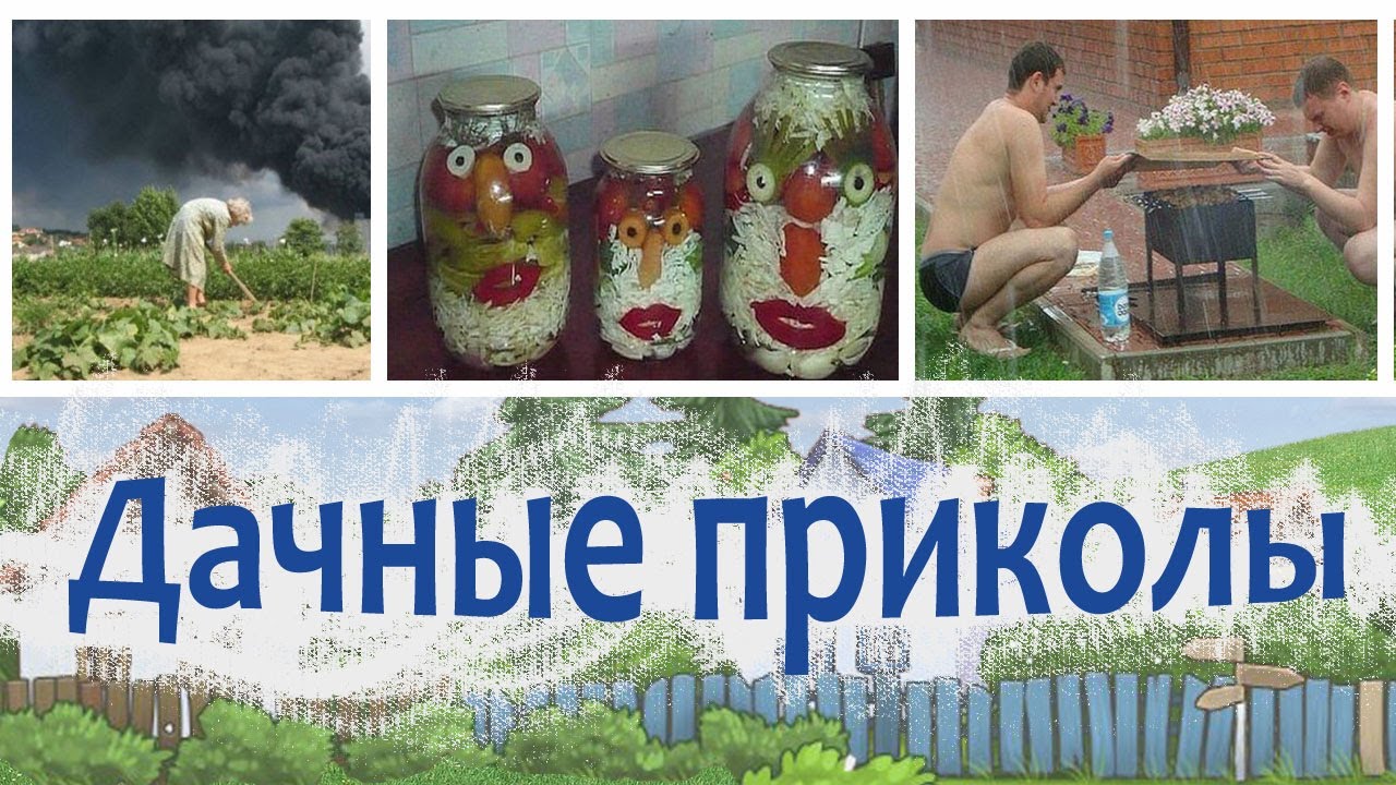 Удачи огородникам картинки