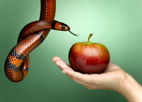 К началу диверсионной войны против (СССР) России: время чрезвычайных мер