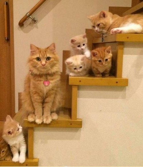 Ночные прикольные картинки (30 шт) Ночные прикольные картинки (30 шт)