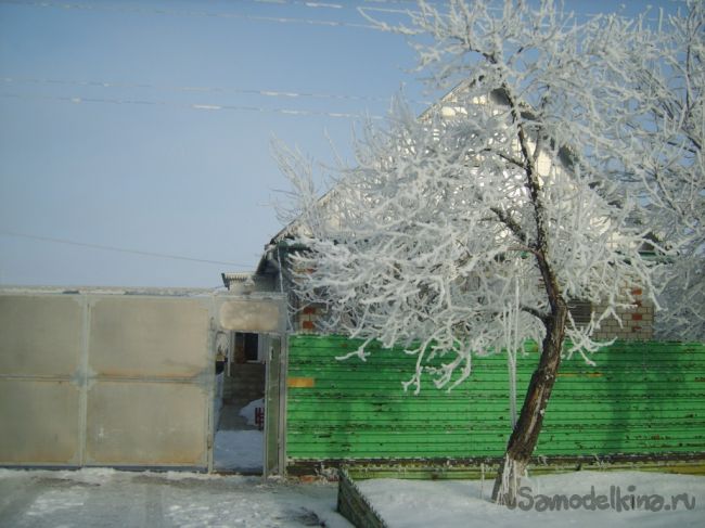 �������� ������ ������ ������