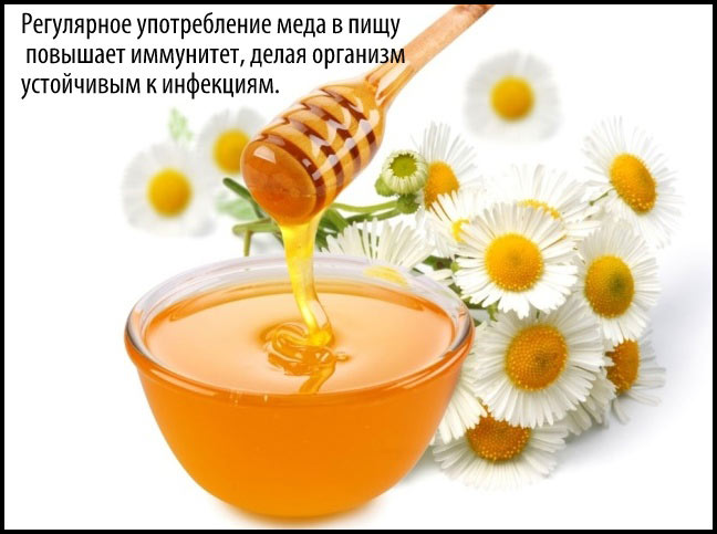 Все что связано с медом Все что связано с медом