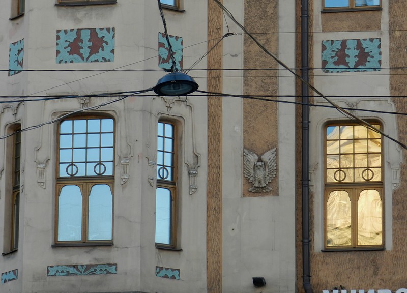 Совы Петербурга Совы Петербурга