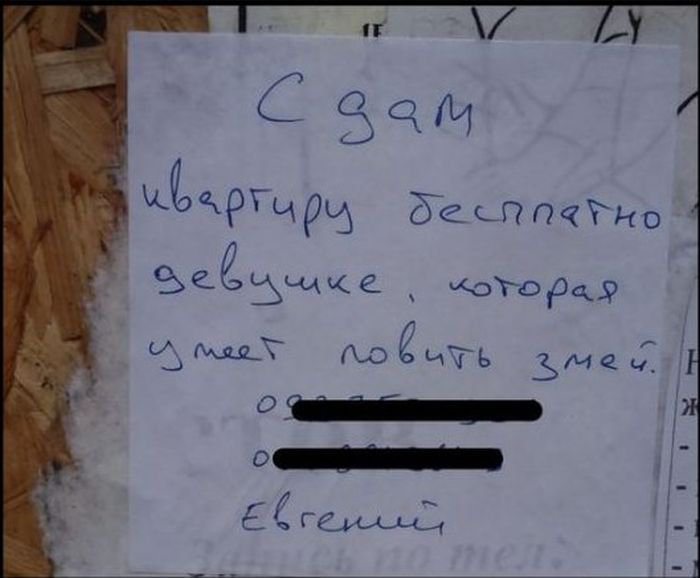 20 реально смешных надписей, которые способны вам поднять настроение! 20 реально смешных надписей, которые способны вам поднять настроение!
