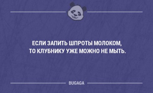 Прикольные фразы и мысли в картинках с надписями. (20 шт)