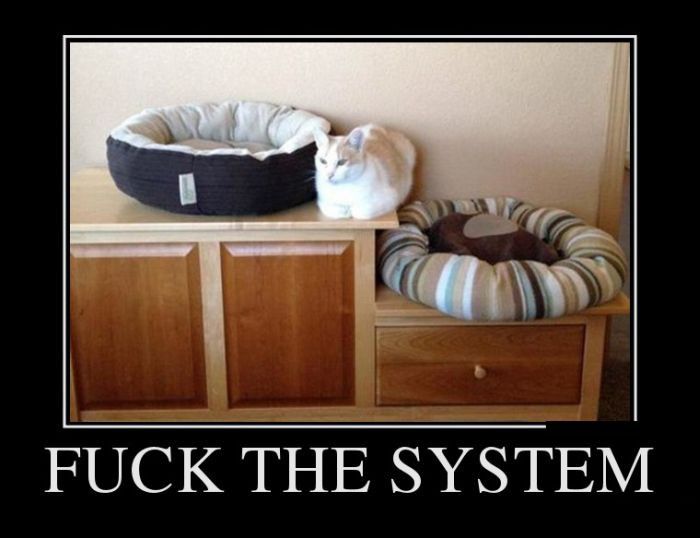 Fuck Your System Свежая подборка демотиваторов, которые поднимут вам настроение