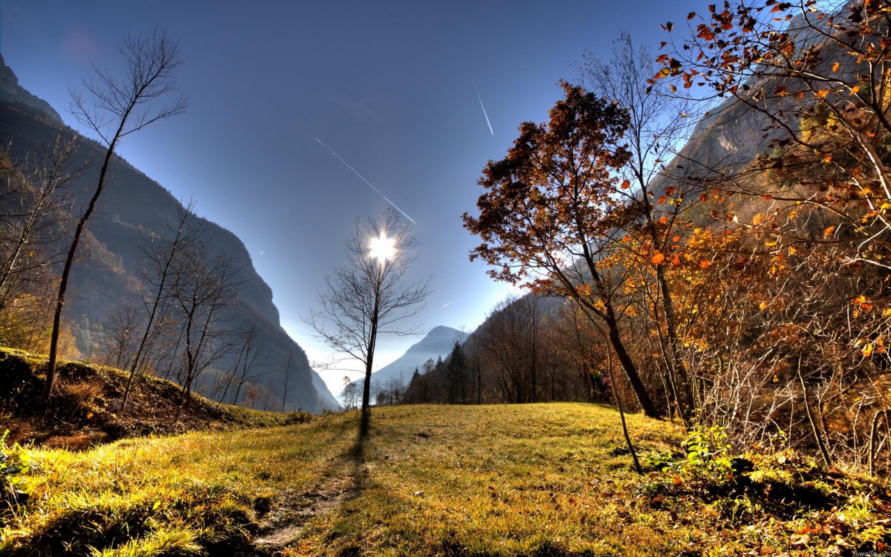 Природа России 5 Природа России 5