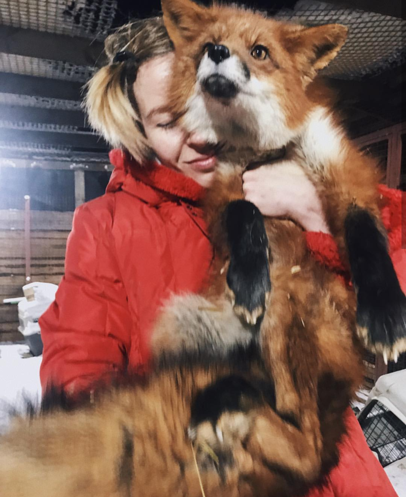 Угадайте что за зверь такой на фото! Угадайте что за зверь такой на фото! Будем жить, животные, помощь