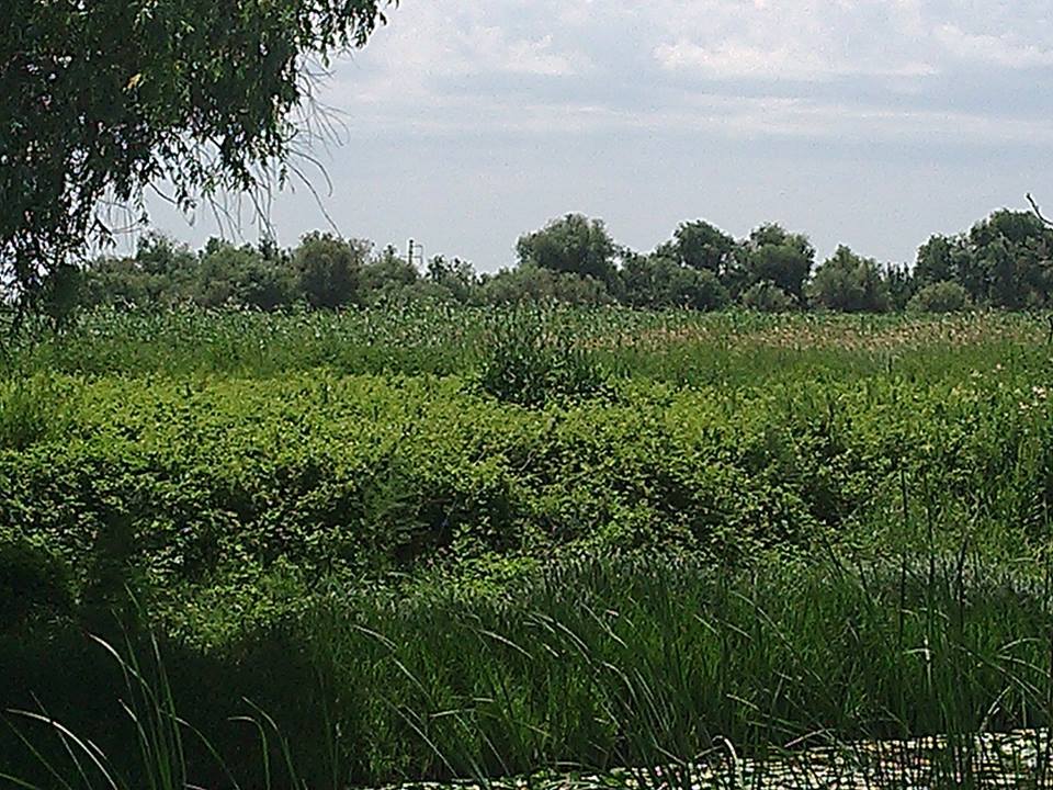 Продам земельный участок под Тур Базу. Астраханской обл. Продам земельный участок под Тур Базу. Астраханской обл.