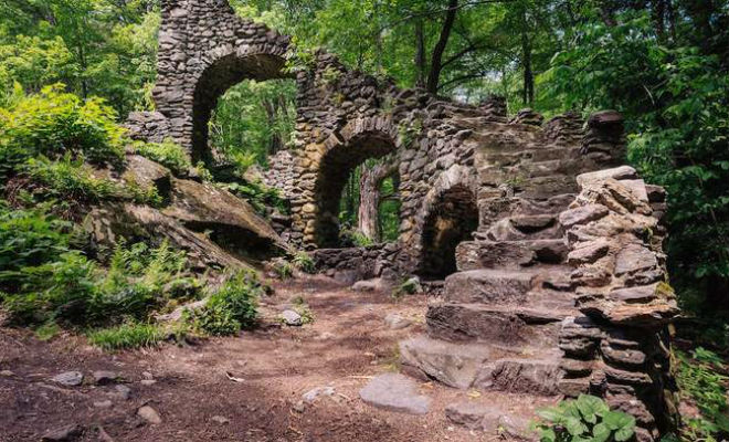 Лестничные находки в чащах лесов