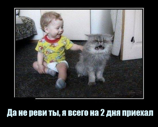 Просто Анекдот