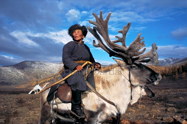 Фотограф Хамид Сардар-Афхами и отдаленные уголки Монголии