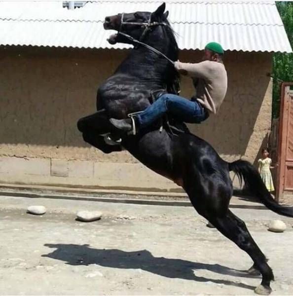 25 шикарнейших кадров, которые были сняты в нужный момент