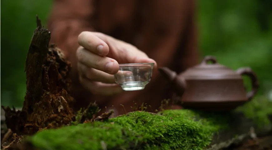 «Чай может заменить вино. А вино не заменит чай. Стихи могут заменить прозу. А проза не заменит стихи». Чжан Чао, китайский интеллектуал