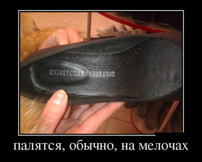 Свежие и позитивные демотиваторы для хорошего настроения (11 фото) Свежие и позитивные демотиваторы для хорошего настроения (11 фото)