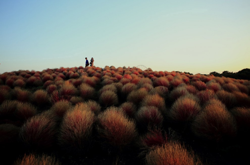 Фотоконкурс National Geographic Photo Contest 2013 (продолжение)