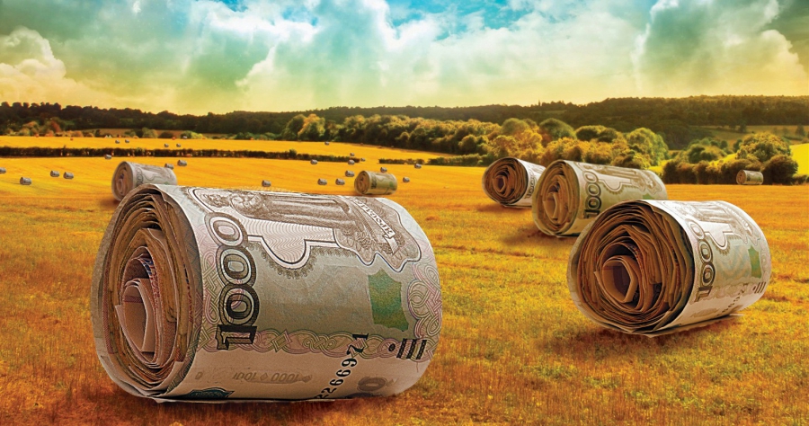 Крепкий рубль больно ударит по сельскому хозяйству России
