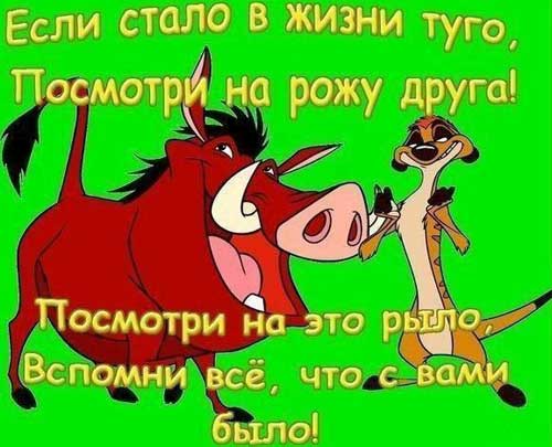 Как красиво завязать бант. Классический бант из георгиевской Как Украине живется по грузинскому сценарию