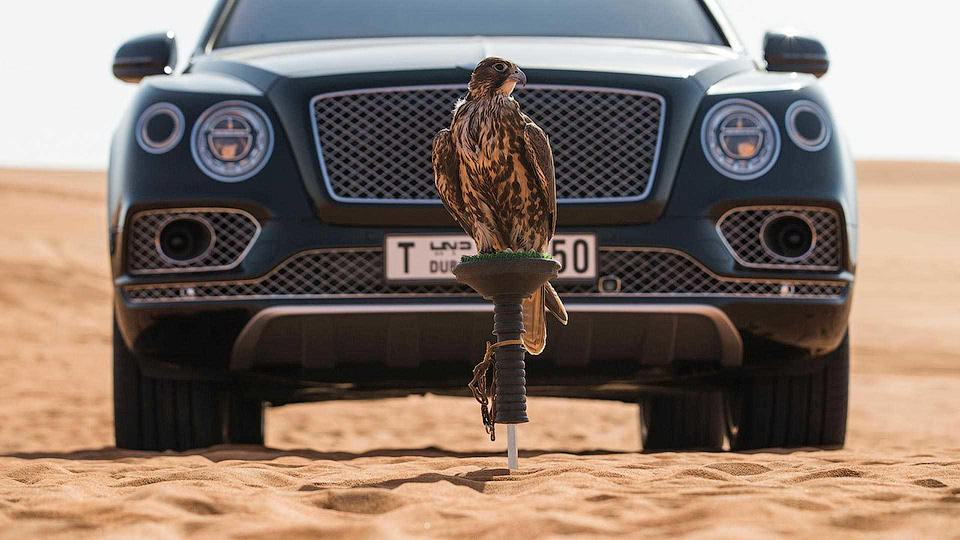 Bentley добавила в салон Bentayga насест для птиц