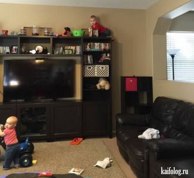 Чудо в перьях (45 фото) Чудо в перьях (45 фото)