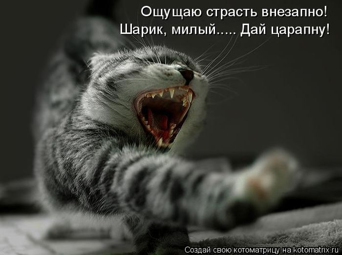 Мысли вслух :)
