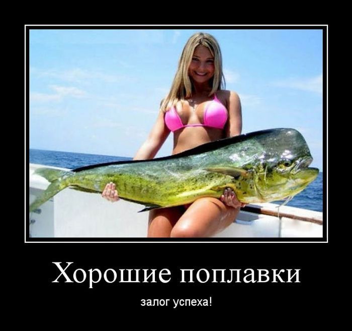 Хорошие поплавки залог успеха Свежая подборка демотиваторов, которые поднимут вам настроение