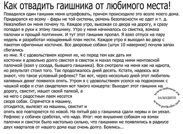 Смешные и прикольные короткие истории