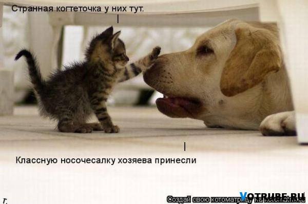 Юмор из интернета15