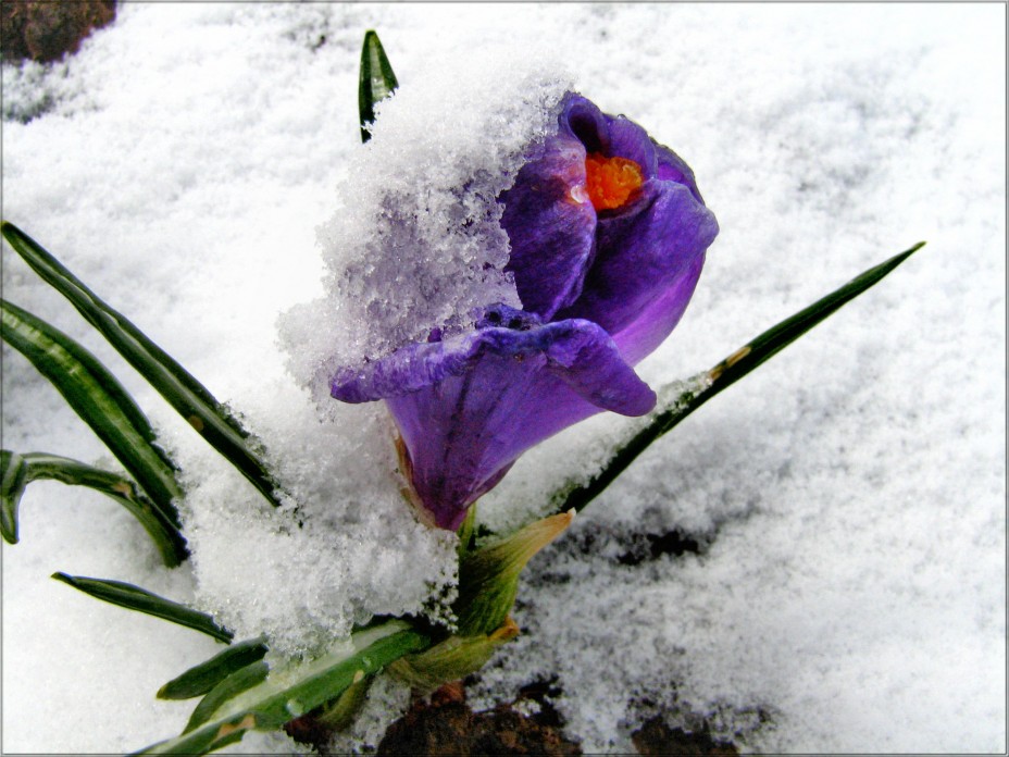 http://i.i.ua/photo/images/pic/8/2/4877828_3a13502c.jpg